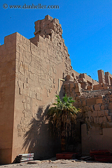 palm_tree-n-bas_relief-wall-01.jpg