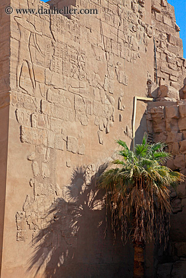 palm_tree-n-bas_relief-wall-02.jpg