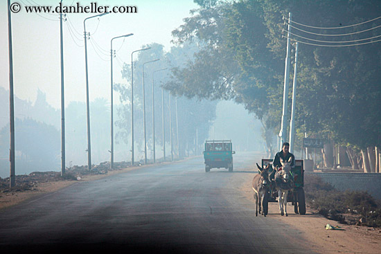 foggy-road-n-mule-n-truck.jpg