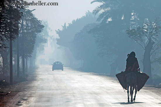 foggy-road-n-mule-walking.jpg
