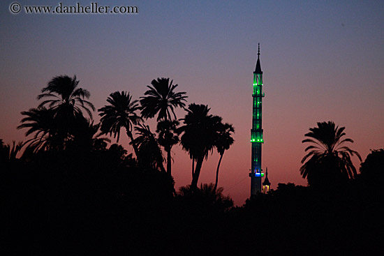 mosque-n-palm_trees-at-dusk-03.jpg