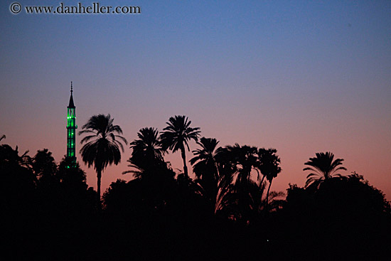 mosque-n-palm_trees-at-dusk-04.jpg