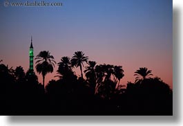 africa, dusk, egypt, horizontal, mosques, palm trees, photograph