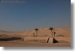 africa, desert, egypt, horizontal, palm trees, photograph