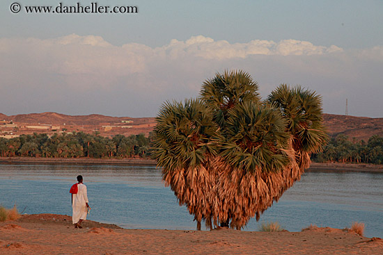 man-by-tree.jpg