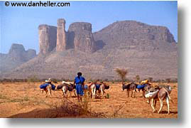 africa, horizontal, mali, subsahara, timbuktu, tuareg, photograph