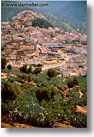 africa, morocco, moulay idriss, vertical, photograph