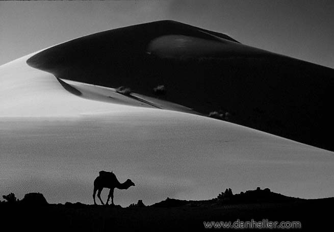 camel-silhouette.jpg