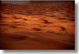 africa, desert, dunes, horizontal, long, morocco, sahara, sand, trek, photograph