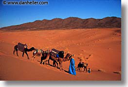 africa, desert, dunes, horizontal, morocco, sahara, sand, photograph