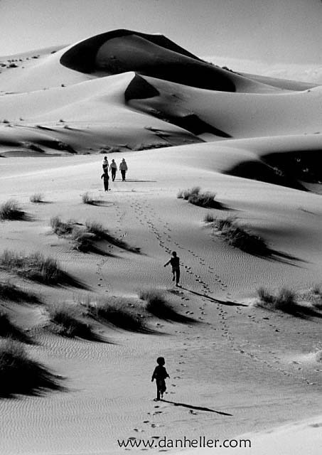 sahara-bw-b.jpg