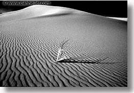 africa, black and white, desert, dunes, horizontal, morocco, sahara, sand, photograph