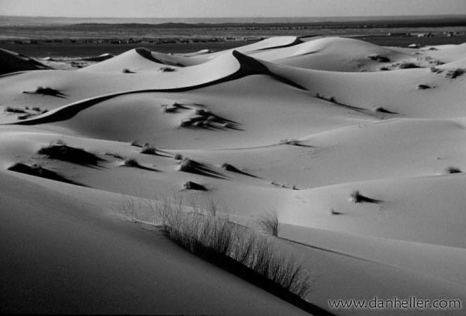 sahara-bw-g.jpg