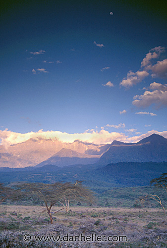 tiny-moon-over-mtns-n-tree.jpg