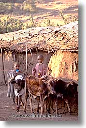 africa, childrens, maasai, tanzania, vertical, photograph