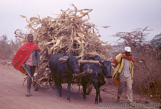maasai-01.jpg