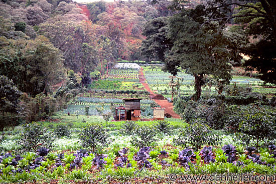 GibbsFarm01.jpg