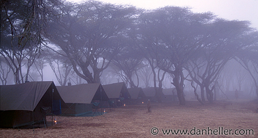 ngorongoro-camp.jpg