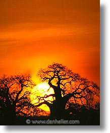 africa, sunsets, tanzania, vertical, photograph