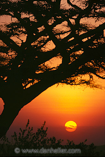 sunset15.jpg