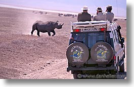 africa, animals, horizontal, pachyderms, rhinoceros, tanzania, tarangire, views, wild, photograph