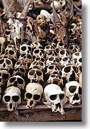 africa, skulls, togo, tribes, vertical, voodoo, west africa, photograph