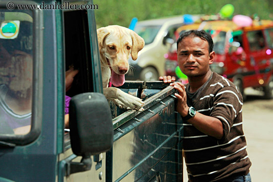 dog-in-truck.jpg