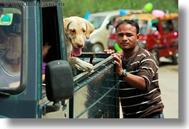 images/Asia/Bhutan/Animals/dog-in-truck.jpg