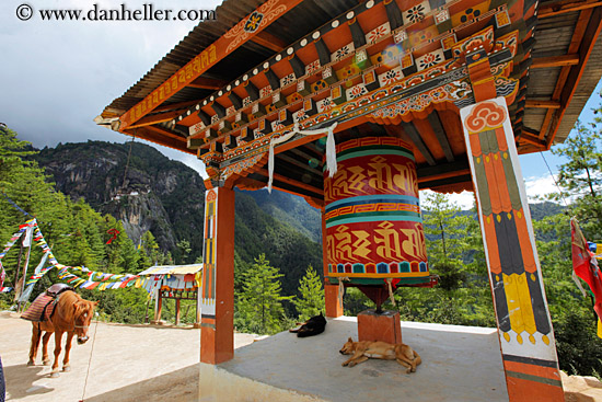 horses-n-prayer-wheel.jpg