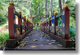 asia, asian, bhutan, bridge, buddhist, covered, forests, horizontal, leaves, nature, plants, religious, style, trees, photograph