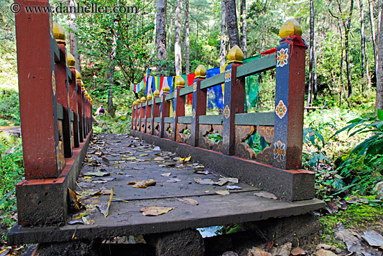 leaf-covered-bridge-04.jpg