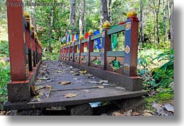 asia, asian, bhutan, bridge, buddhist, covered, forests, horizontal, leaves, nature, plants, religious, style, trees, photograph