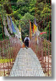 asia, asian, bhutan, bridge, buddhist, flags, forests, nature, plants, prayer flags, prayers, religious, style, trees, vertical, photograph