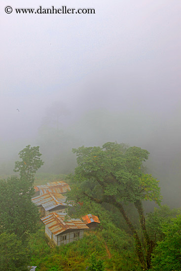 house-in-fog-02.jpg