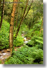 asia, bhutan, blur, flowers, lush, motion, nature, trees, vertical, photograph