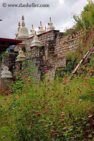 flowers-n-chorten-01.jpg