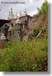 asia, bhutan, chortens, flowers, khamsum ulley chorten, vertical, photograph