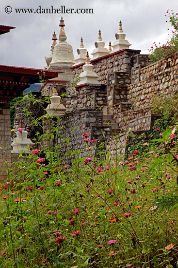 flowers-n-chorten-02.jpg