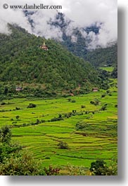 asia, bhutan, chortens, fields, fog, khamsum, khamsum ulley chorten, nature, ulley, vertical, photograph