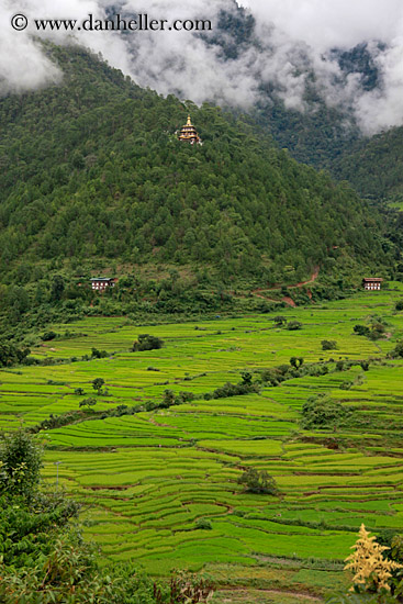 khamsum-ulley-chorten-n-fields-05.jpg