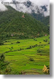asia, bhutan, chortens, fields, fog, khamsum, khamsum ulley chorten, nature, ulley, vertical, photograph