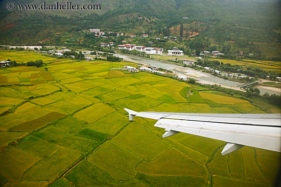 airplane-wing-n-rice-fields.jpg