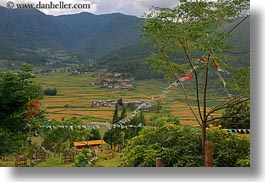 asia, bhutan, buddhist, flags, horizontal, lobeysa village, lush, nature, prayer flags, prayers, religious, valley, photograph