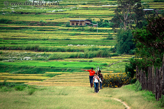 family-walking-down-path-01.jpg