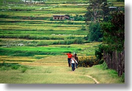 images/Asia/Bhutan/People/Hikers/family-walking-down-path-01.jpg