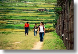 asia, asian, bhutan, down, families, hikers, horizontal, paths, people, walking, photograph