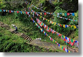 asia, bhutan, buddhist, flags, green, hikers, hiking, horizontal, lush, people, prayer flags, religious, photograph