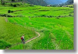 asia, asian, bhutan, hikers, hiking, horizontal, monks, people, photograph