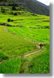 asia, asian, bhutan, hikers, hiking, monks, people, vertical, photograph