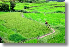 asia, asian, bhutan, hikers, hiking, horizontal, monks, people, photograph